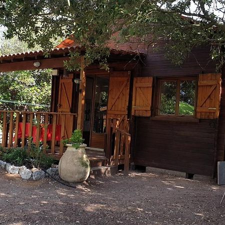 Chalet Bati Bonifacio  Zewnętrze zdjęcie